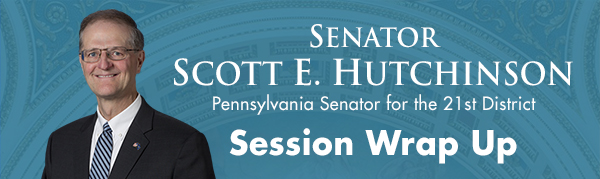 Redesign – Senator Hutchinson E-Newsletter